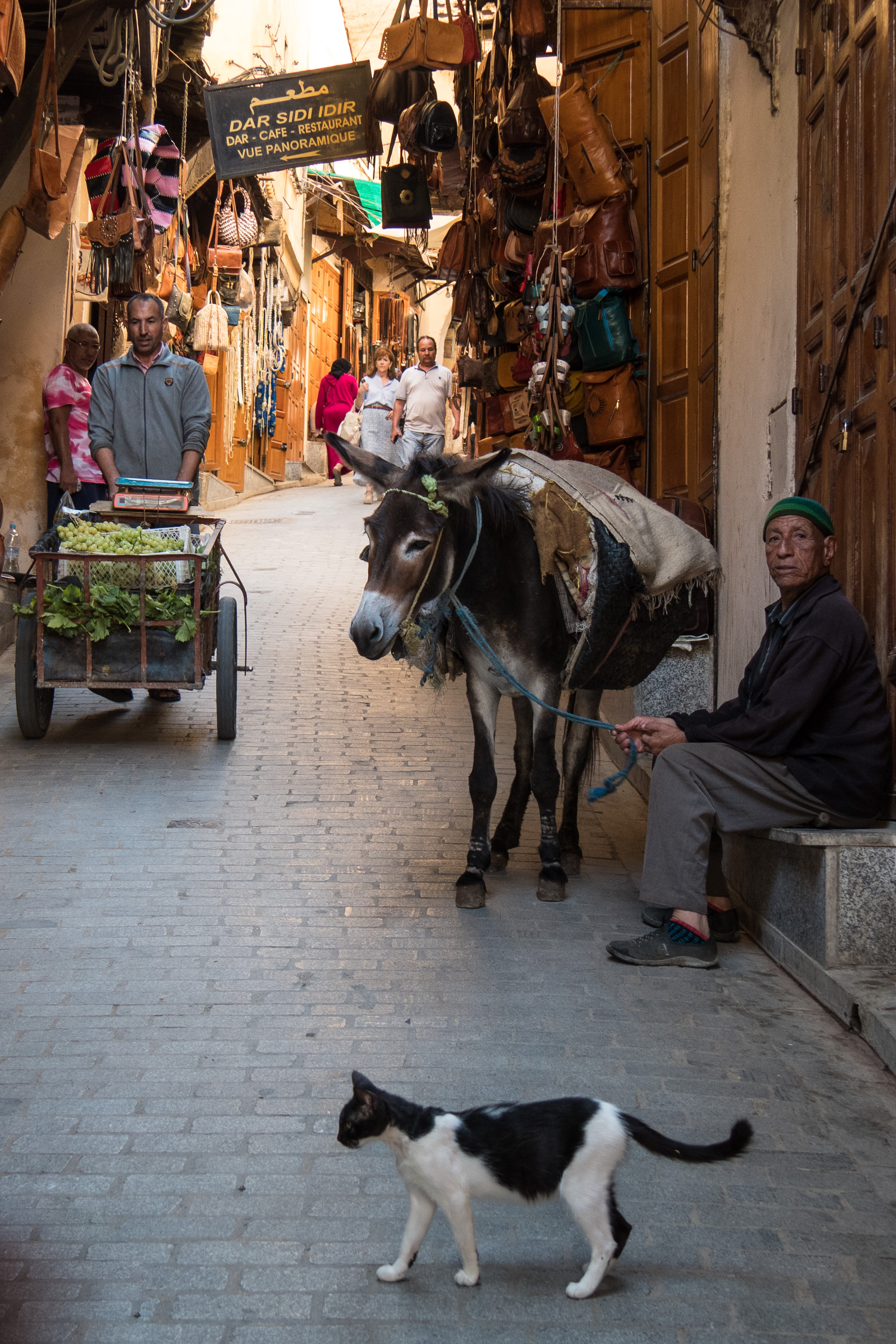In den Souks von Fes